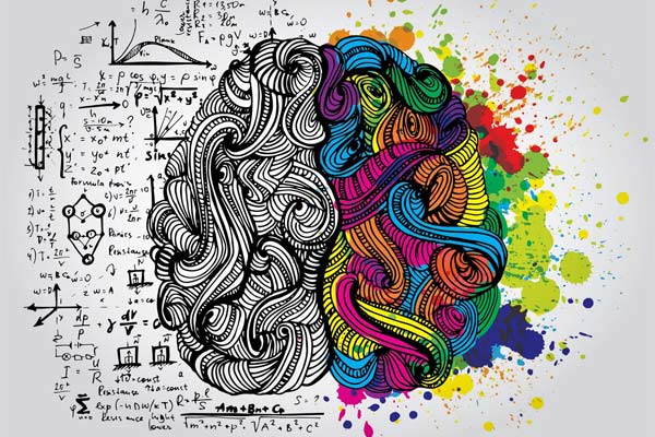 تست هوش چیست؟